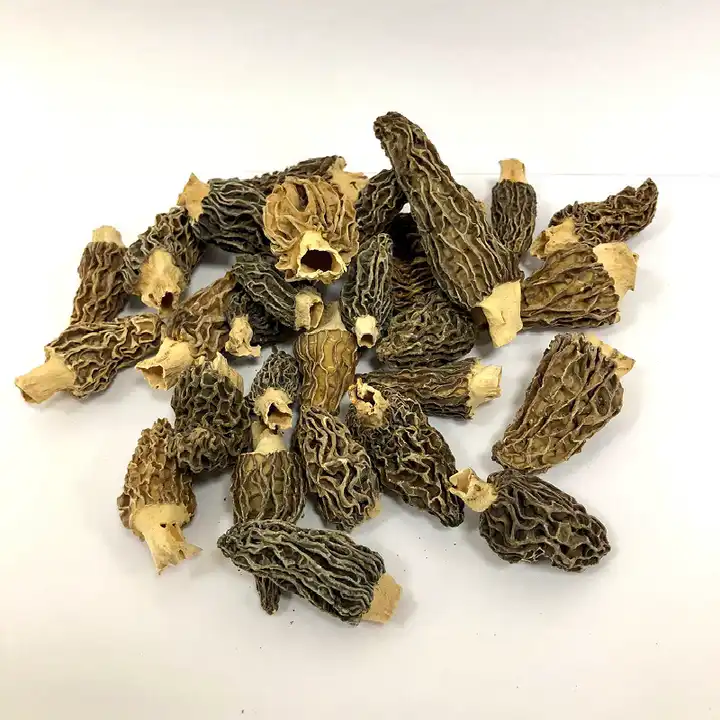 Morel Mushroom Farm Morel Mushroom Farm