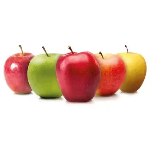 FRUIT PROCESSING AND DRYING LINE