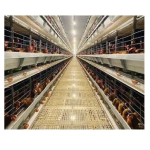 LAYER CAGE AND VENTILATION SYSTEM LAYER CAGE AND VENTILATION SYSTEM