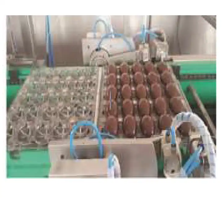 Hollow Chocolate Production Line Hollow Chocolate Production Line