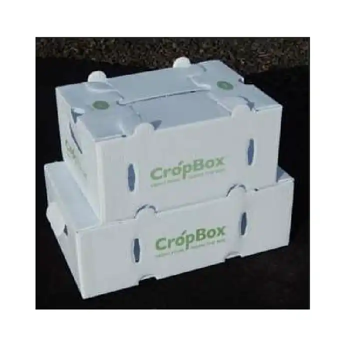 Pp Hollow Sheet & Box Production Line Pp Hollow Sheet & Box Production Line